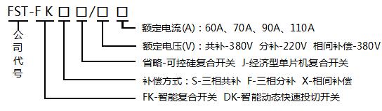 FST-FK܏(f)_(ki)P(gun)